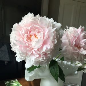 Meet your Posher, Georgena